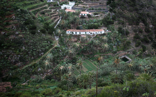 GUARAPO BLOG 2013 01