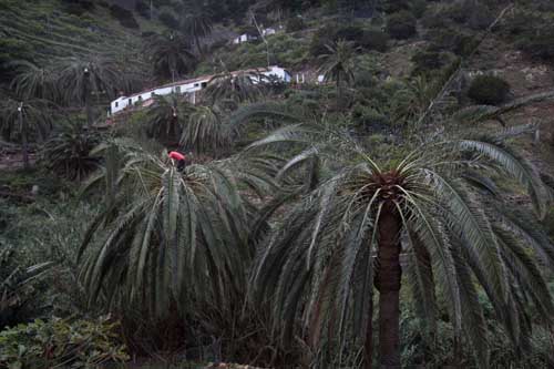 SPAIN-
