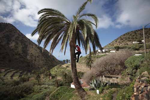 SPAIN-