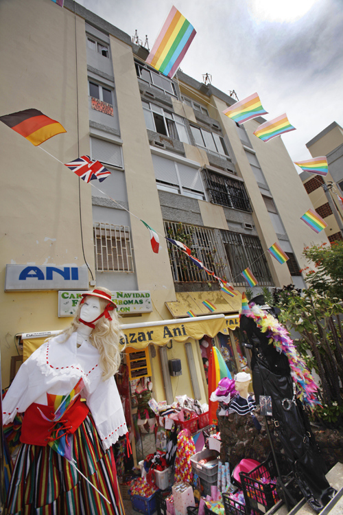 ANI Gaypride 2011 2013 01