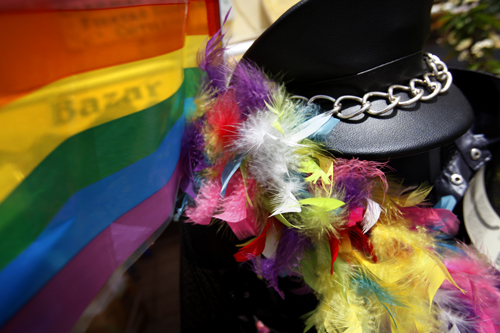 ANI Gaypride 2011 2013 19