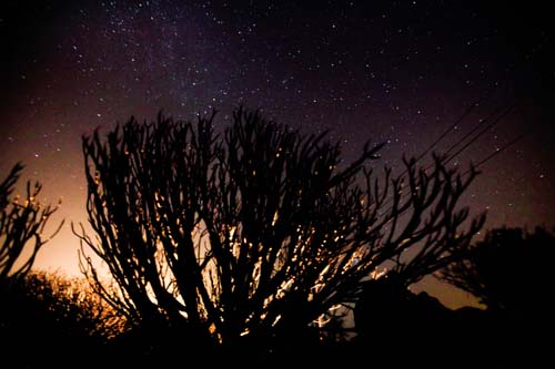 SPAIN-MILKY-WAY-SPACE