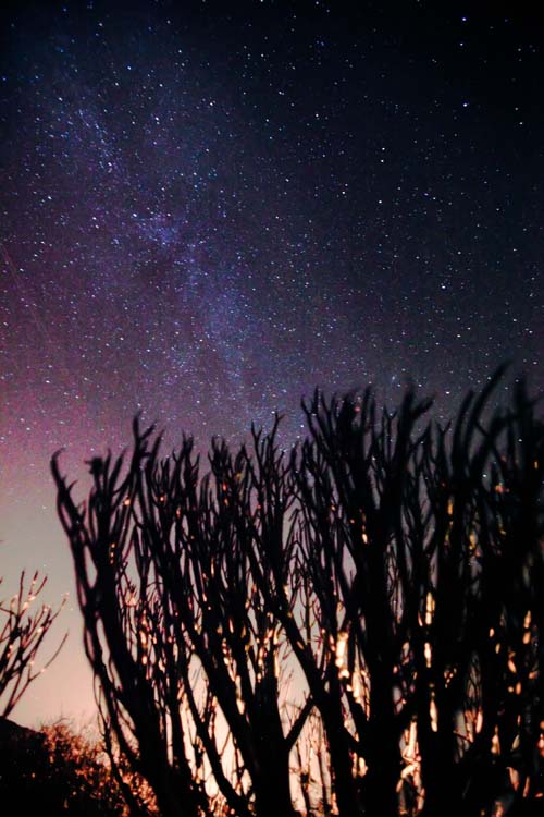 SPAIN-MILKY-WAY-SPACE