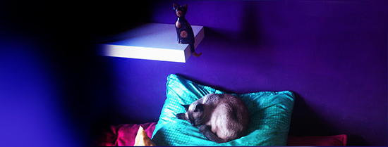 DESI Y WARLOCK BLOG 01
