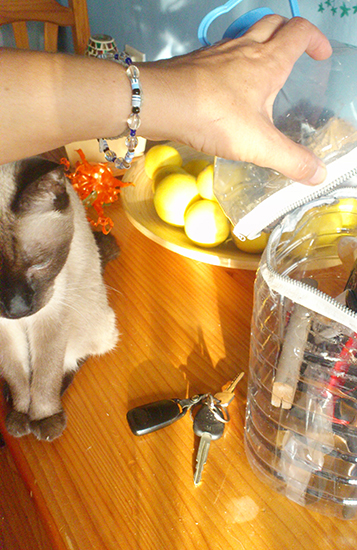 DESI Y WARLOCK BLOG 03
