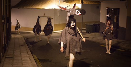 Burras Guimar 2014 BLOG 01