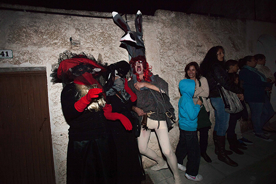 Burras Guimar 2014 BLOG 08