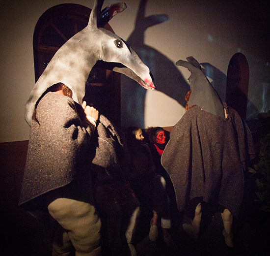 Burras Guimar 2014 BLOG 21
