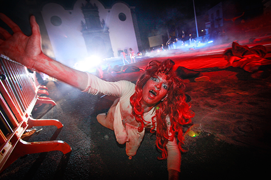 Burras Guimar 2014 BLOG 34