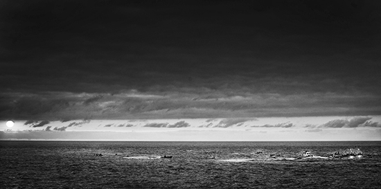 REedit Embarcación Virgen Carmen 2014 14 BN b