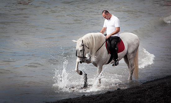 SPAIN-HORSES-PILGRIMAGE-SEBASTIAN