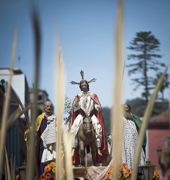 Domingo de Ramos 2015 BLOG 12
