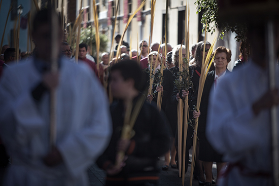 Domingo de Ramos 2015 BLOG 14