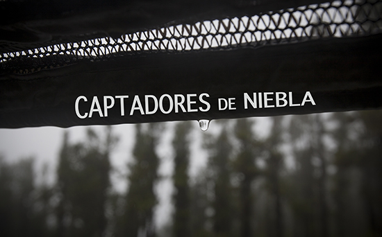 Captadores 2016 00
