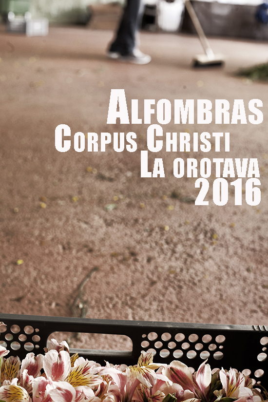 Alfombras Corpus Orotava BLOG 2016 00 b
