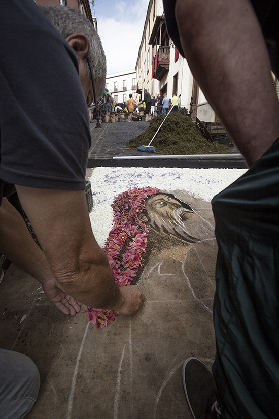 Alfombras Corpus Orotava BLOG 2016 13 b